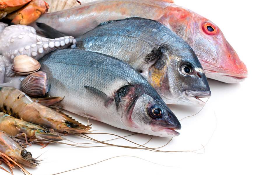 pescado para reducir colesterol