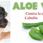 Aloe vera para evitar la caída del cabello – [caída del pelo]