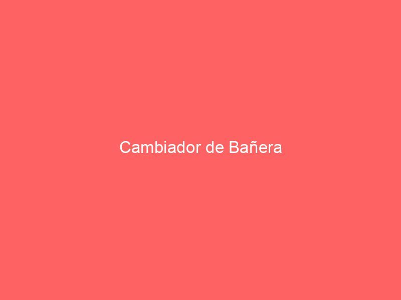 Cambiador de Bañera