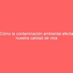 Cómo la contaminación ambiental afecta nuestra calidad de vida