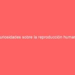 Curiosidades sobre la reproducción humana