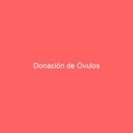 Donación de Óvulos