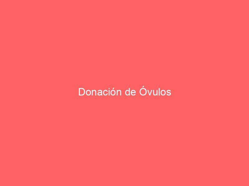 Donación de Óvulos