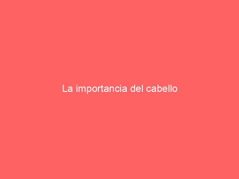 La importancia del cabello