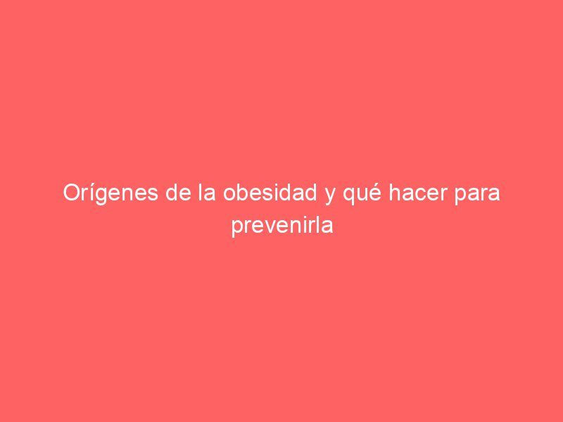 Orígenes de la obesidad y qué hacer para prevenirla